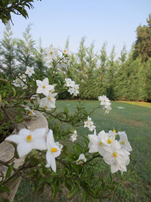 Ladino Room & Breakfast Ferrara Exterior foto